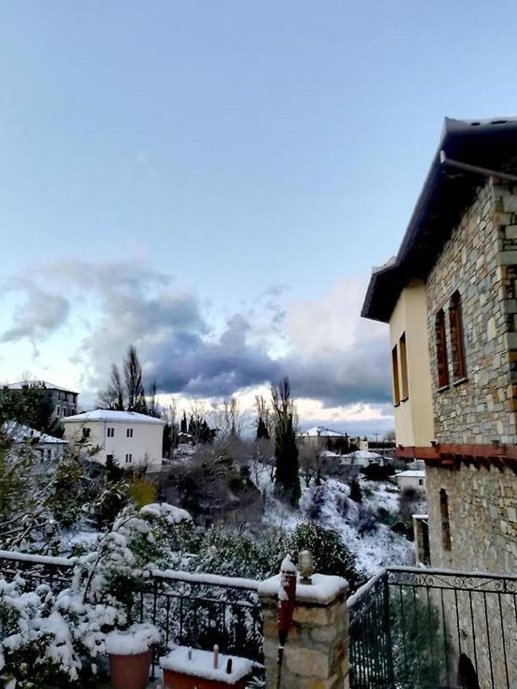 Archontiko Polyzos Otel Portariá Dış mekan fotoğraf